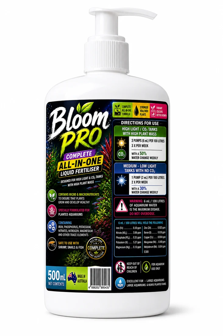 Bloom Pro — concept imagery